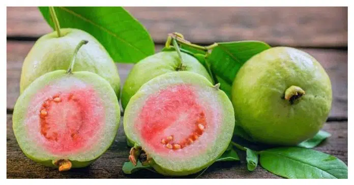 Guava