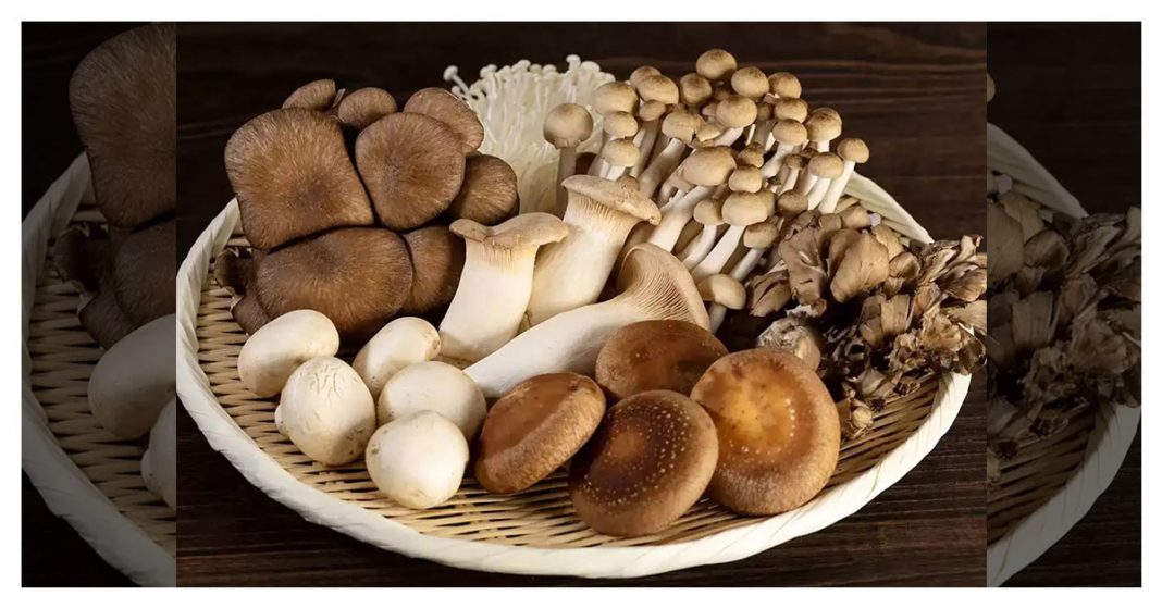 Eating mushrooms is healthy