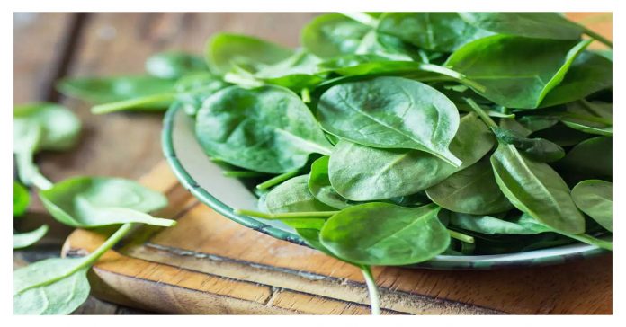 Consuming spinach in excess can be dangerous