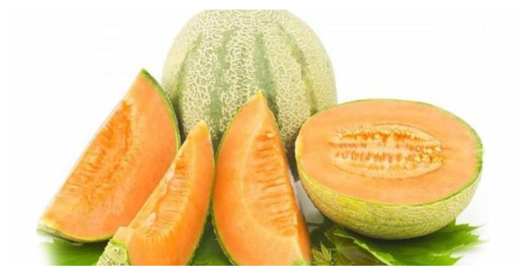 Consuming melons in summer