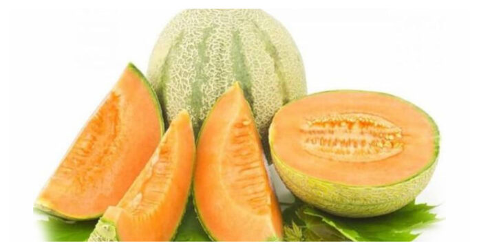 Consuming melons in summer
