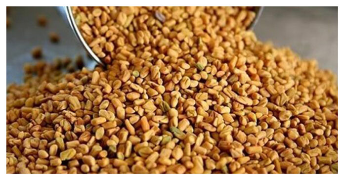 Fenugreek