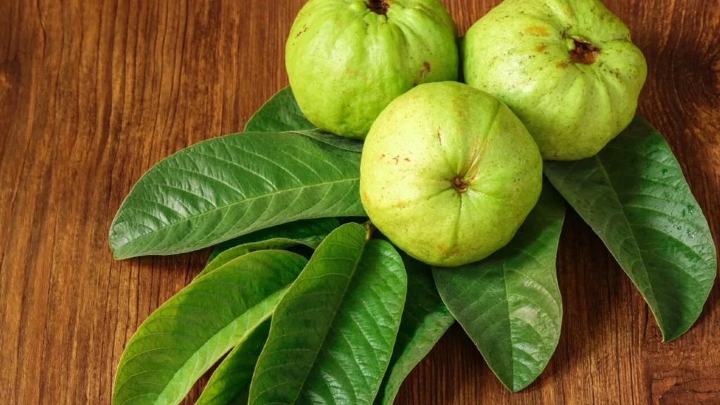 guava