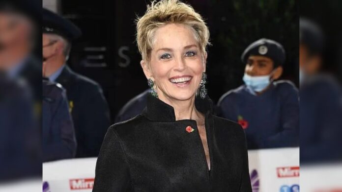 hollywood actress sharon stone