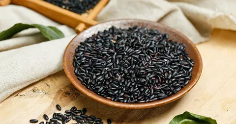 Black Rice